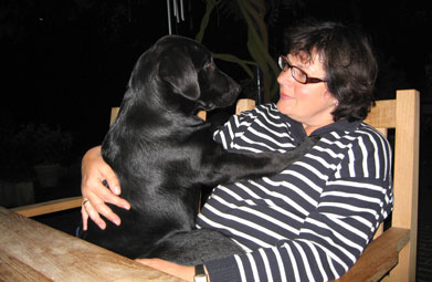 Susanne Niemeyer - Labrador Hundezucht Niemeyer Susanne Niemeyer - Labrador Hundezucht Niemeyer